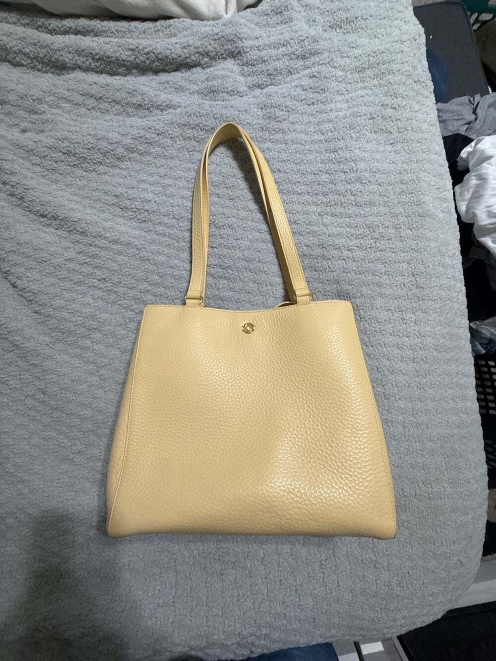 Dagne Dover Medium Allyn Tote in Pebbled Leather RARE Pollen Color